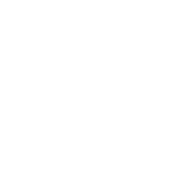 Public services icon